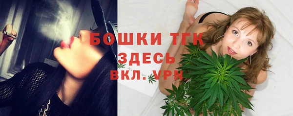 тгк Арсеньев