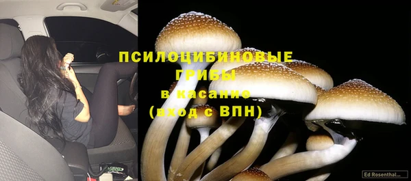 меф Армянск