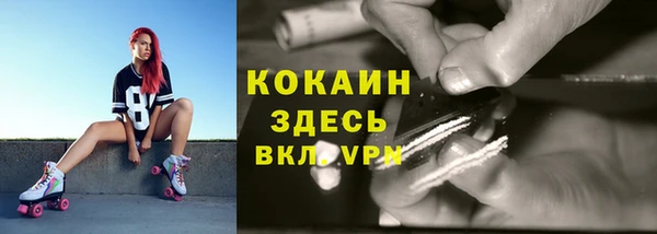 бошки Аркадак
